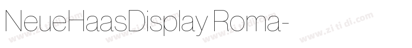 NeueHaasDisplay Roma字体转换